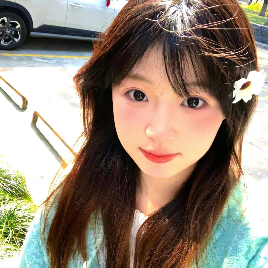 高速公路家族