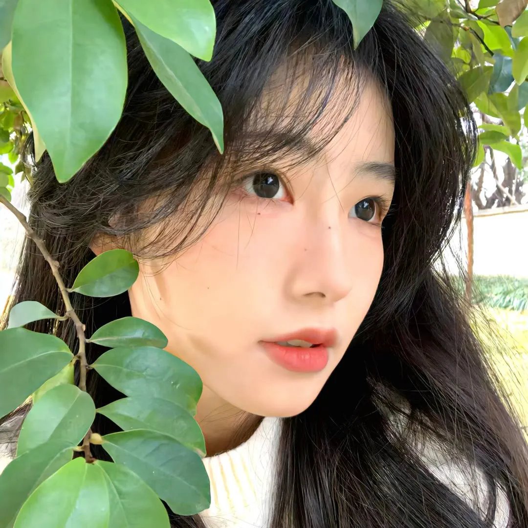 夜莺2022