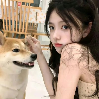 阿基里斯与龟